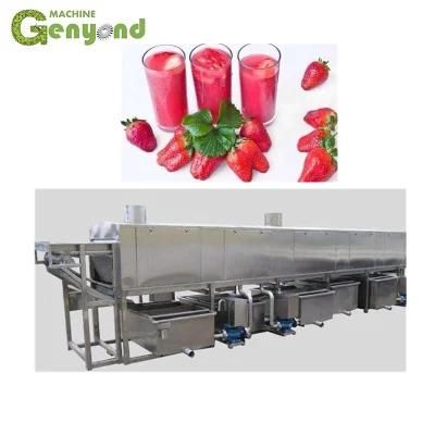 Automatic Strawberry Juice Making Machine