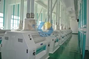 Price of Wheat Flour Mill with Capacity of 100-300t