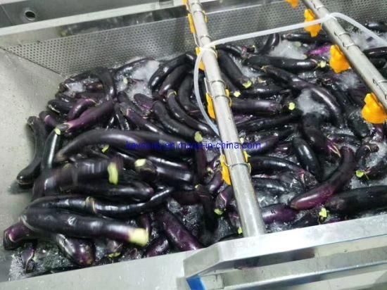 Commercial Apple Strawberry Blueberry Cherry Fruit Vegetable Washing Machine