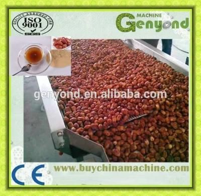 Complete Palm Dates Powder Production Line