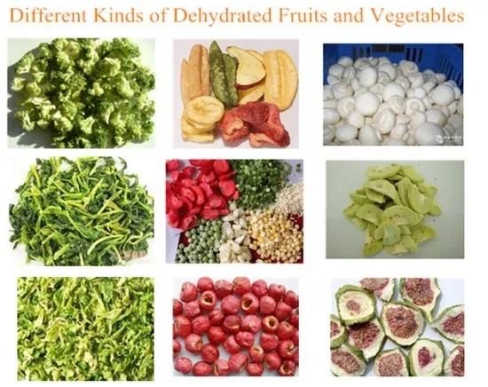 Fruit Seafood Vegetable Fish Shrimp Plant Price Drying Machine