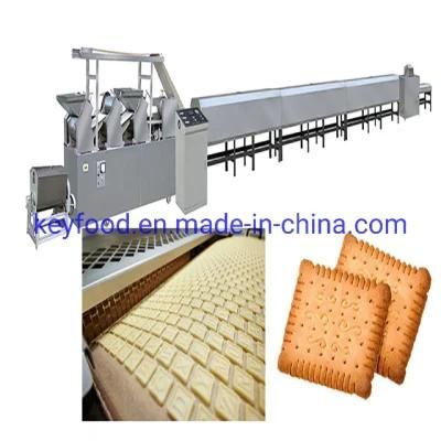 Low Cost Stainless Steel Hard Biscuit Production Line