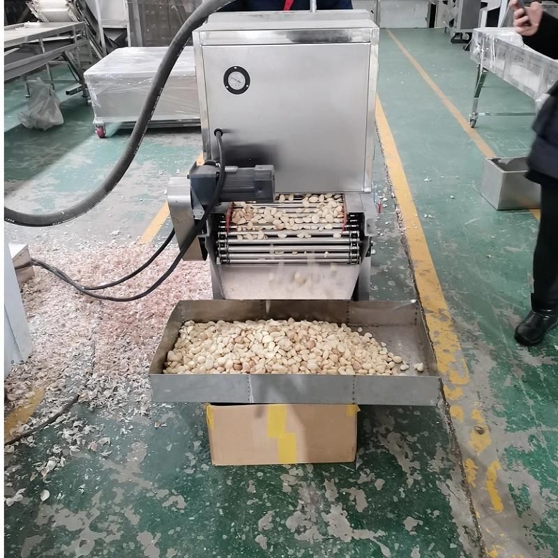 High Quality300-400kg Chain Type Garlic Peeling Machine