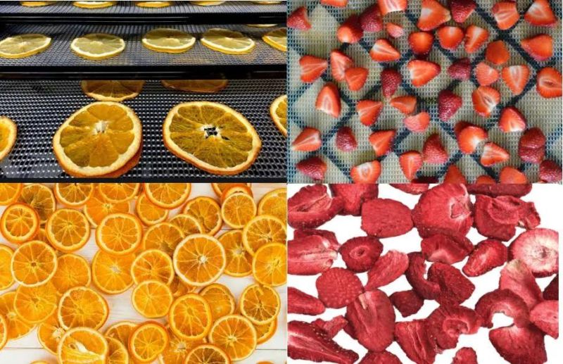 Food Dehydrator Orange and Strawberry Drying Machine