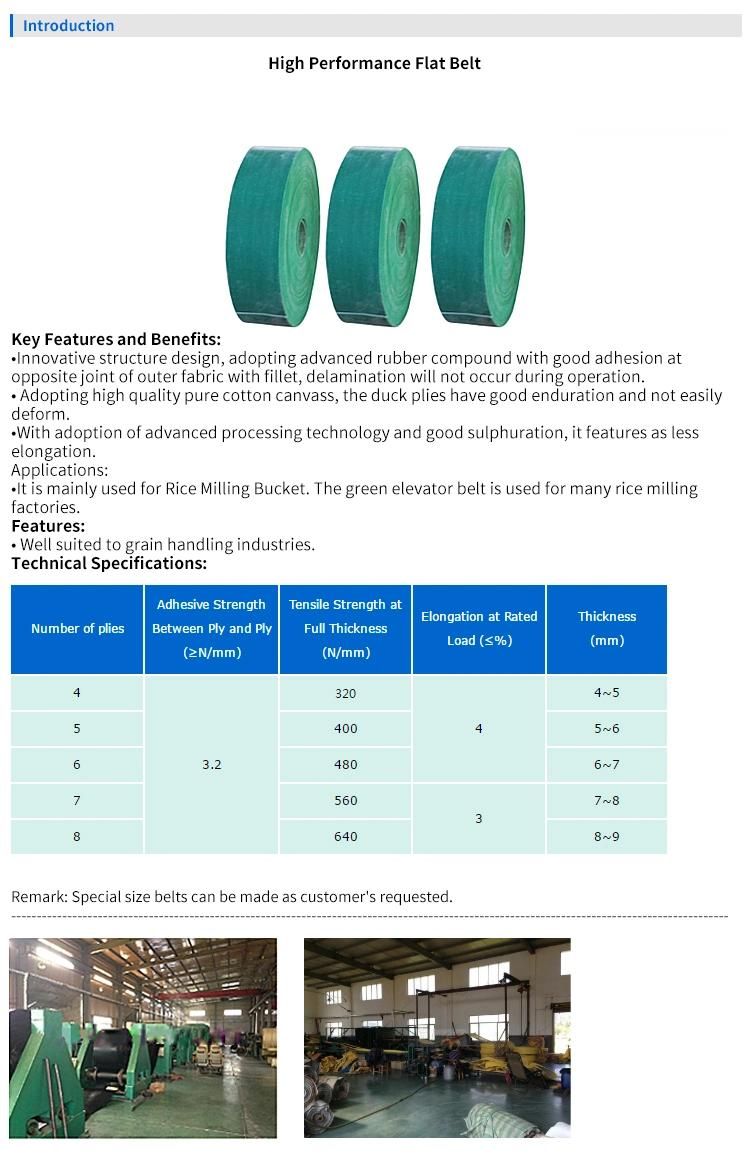 Quality of Service Industrial Nylon Flat Belt