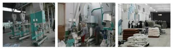 Wheat Grinder Prices Wheat Flour Mill Machine Hot Sale in Egypt
