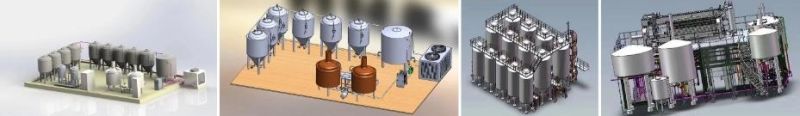 Cassman Steam Heating SUS304 500L Beer Brewery with SGS Certificat