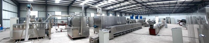 304 Stainless Steel Complete Biscuit Production Line for Walnut Cake Biscuits