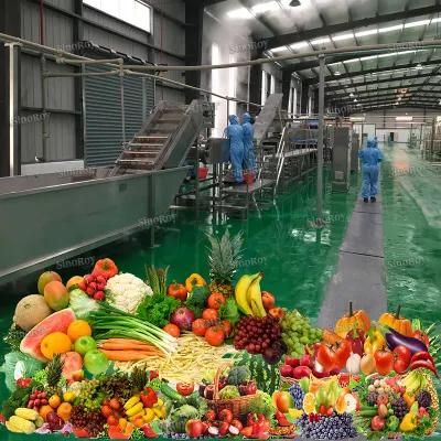 1500 Tons Per Day Tomato Sauce Puree Jam Paste Ketchup Processing Line/Tomato Paste ...