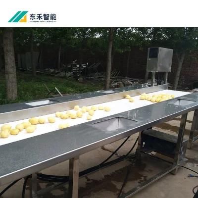 Frozen French Fries Machinery/ French Fries Making Machine/French Fries Machine Price