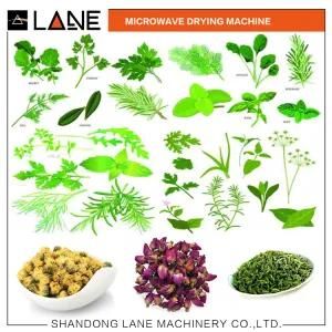 20kw Continuous Tunnel Moringa Leaves Herbs Microwave Drying Equipment Ce Certificate