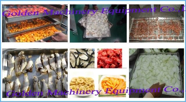 Small Industrial Fruit Drying Commercial Fruit Dehydrator Dryer Machine
