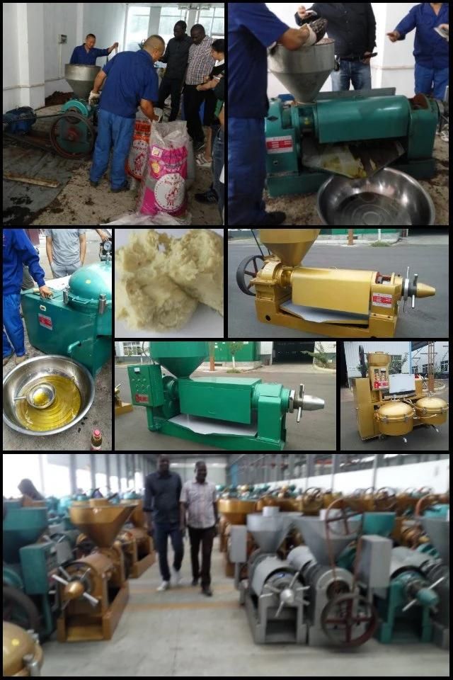 800kg Capacity Yzyx168 Palm Oil Producing Machine