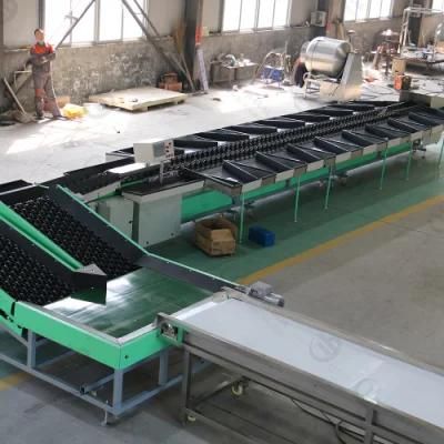 Large Capacity Lemon Avocado Washing Waxing Weight Sorting Line for Factory