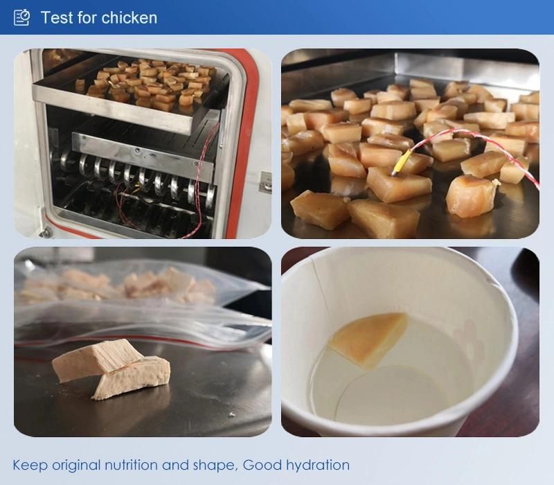 The Laboratory Uses Small Vacuum Freeze Dryer for Freeze Drying Liquids and Food