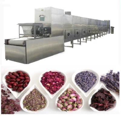 Vegetable Dehydrator Fruit Cassava Dryer Microwave Vacuum Oven