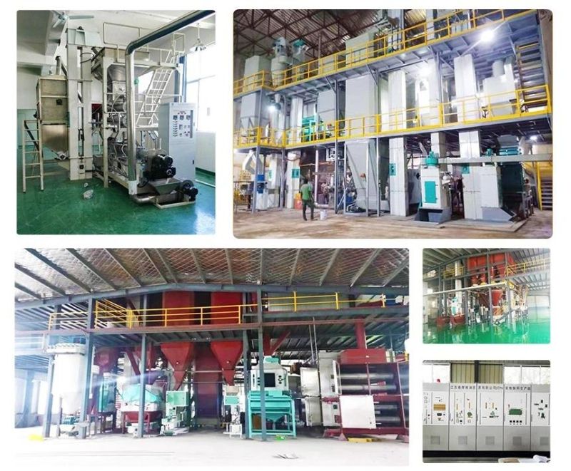Nutritional Artificial Rice Foods Production Line Rice Food Extruded Machine