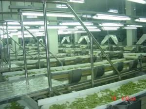 Industrial Customized Full Automatic Fruits&Vegetables/Bean Processing Machine/Production ...