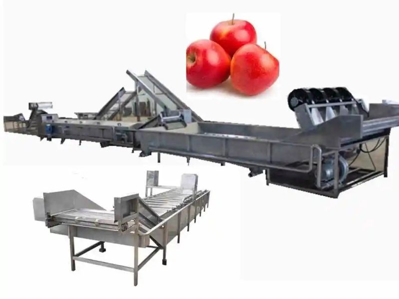 Commercial Various Vegetable and Fruit Washing Machine on Hot Sale