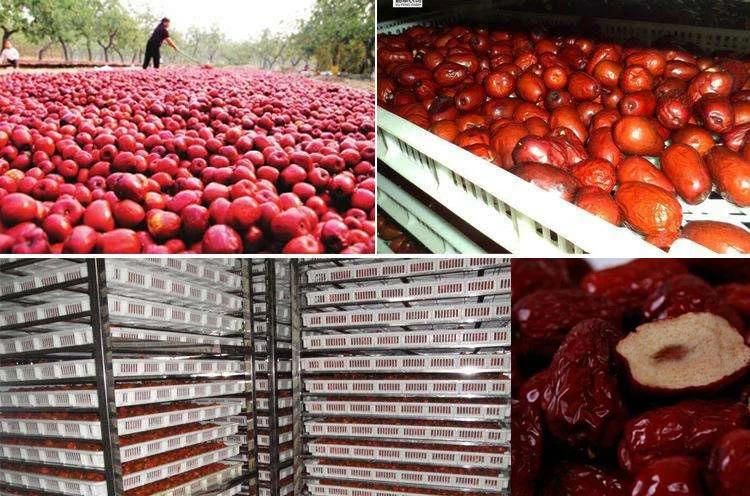 Food Dehydrator 24 Trays Stainless Steel Dates Fruits Drying Machine