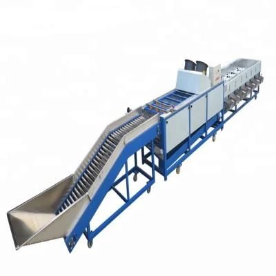 Commercial Avocado Onion Size Grading Sorting Machine