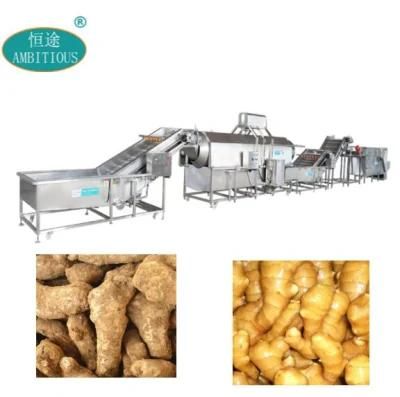 Ivory Coast Fresh Ginger Washing and Drying Machine