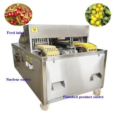 Fruit Seed Removing Date Apple Pear Apricot Cherry Pit Remove Olive Pitting Pitter ...