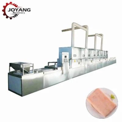 Good Curing Effect Tunnel Belt Pigskin Microwave Curing Machine