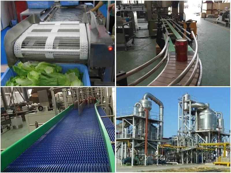 Nopal Processing Line / Cactus Production Plant