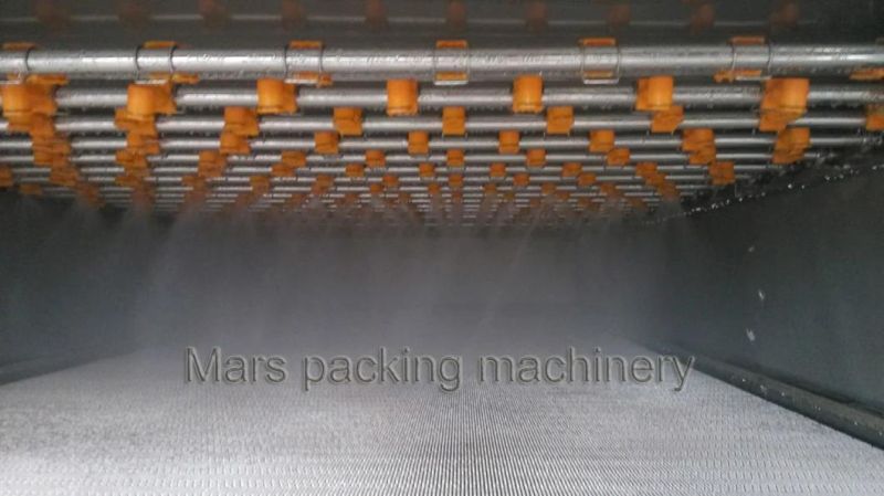 Spraying Water Cooling Tunnel for Hot Filled Juice (PL-1)