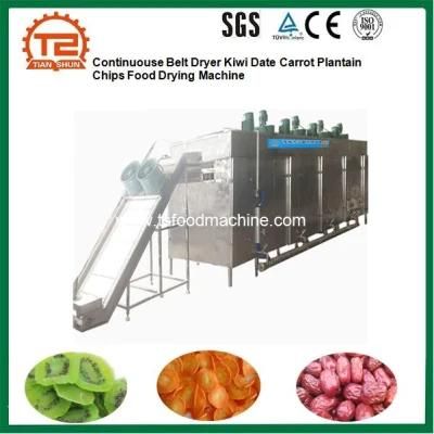 Continuouse Belt Dryer Kiwi Date Carrot Plantain Chips Food Drying Machine