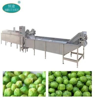 Brussels Sprouts Blanching and Cooling Machine