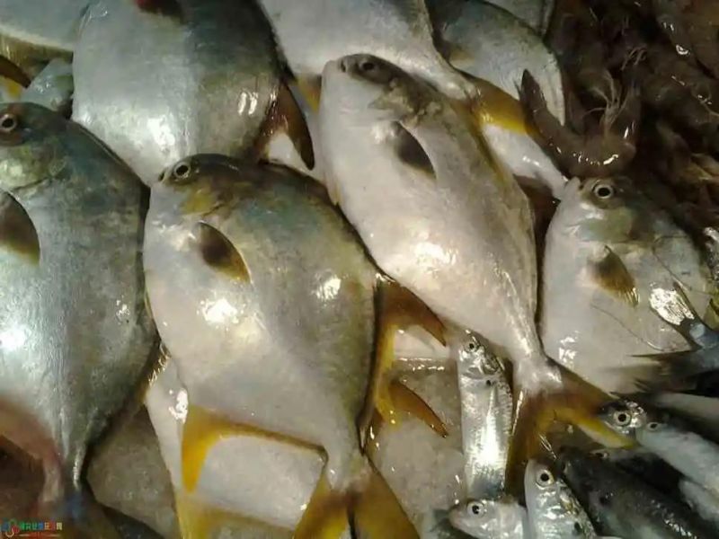 Seafood Bubble Washing Cleaning Machine Fish and Shrimp Washer Bubbles