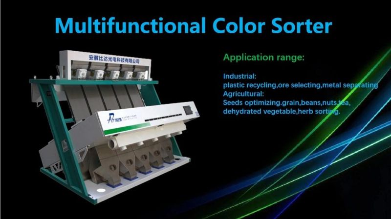 Food Processing Machine Raisin Selector CCD Color Separating Machine