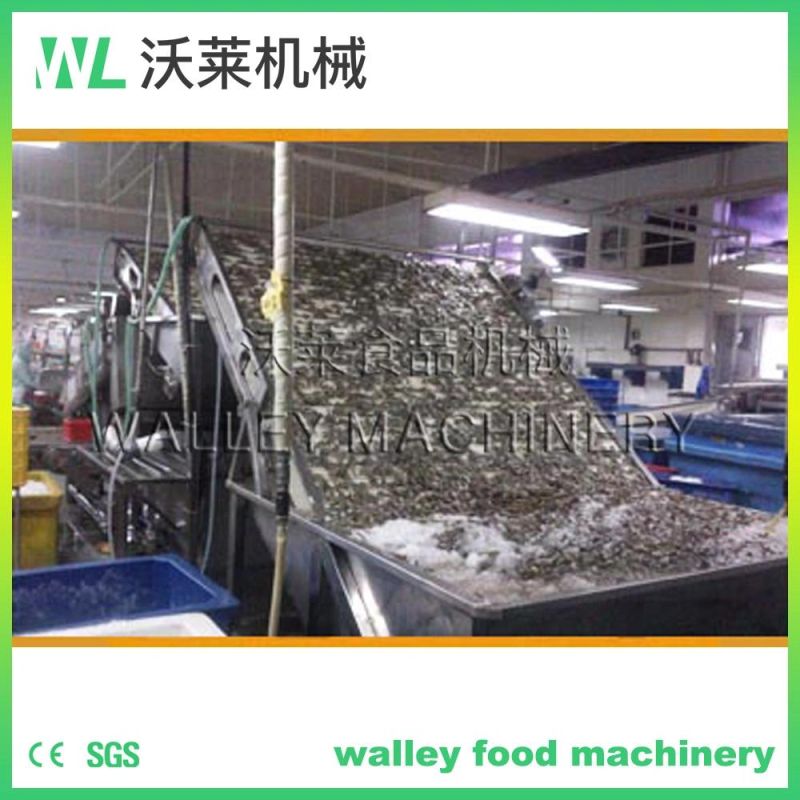 China Shrimp Grader Prawn Separating Machine Grader