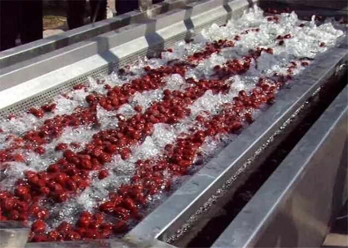 Water Saved Vegetable Fruit Fruit Air Bubble Washing Machine