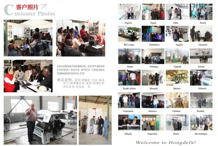 Africa Maize Corn Flour Grits Roller Mill Milling Processing Machinery