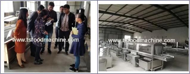 Date, Grape, Fruit Drying Production Line