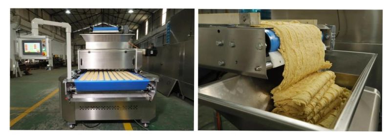 Skywin Cookie Cutter Machine Cookies Making Machine Small Automatic in China