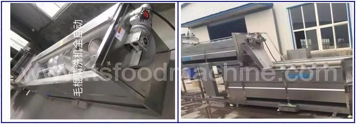 Brush Type Ginger Potato Cassava Washer and Washing Machine with Factory Price