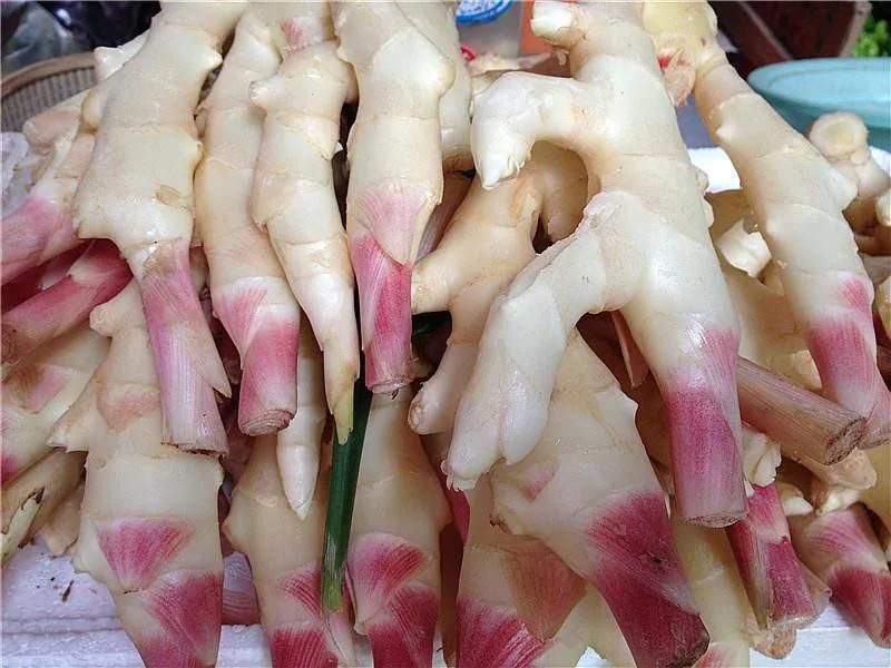 Vegetable Processing Line Ginger Production Line Ginger Washing Plant
