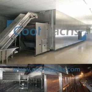 Fluidized IQF Freezer for Vegetables and Fruits Seafood