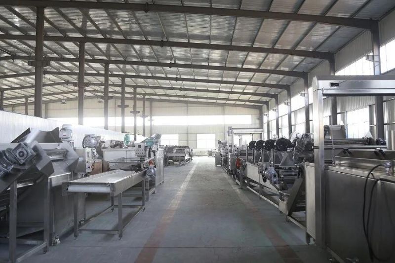 Competitive Price Electric Hoister for Vegetable / Fruit