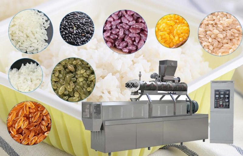 Popular Reconstituted Fortified Rice Extruder Twin Screw Extruder Machine Artificial Fortified Nutritional Rice Making Machine