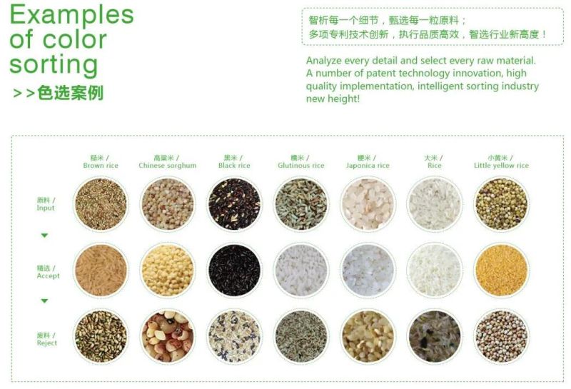 5 Chutes 320 Channels Thailand Rice Color Sorter Machine From Wenyao China
