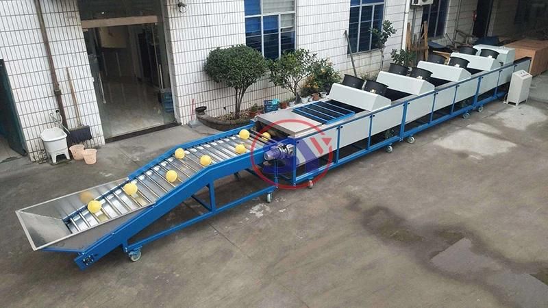 Fruit&Vegetable Blueberry Sorter Sorting Grading Machine by Size for Potato Tomato