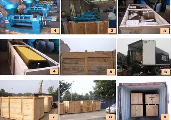 Combined Peanut Rapeseed Oil Expeller Wtih Oil Filter