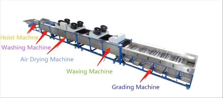 Food Fruitprawn Weight Sorter Grading Machine