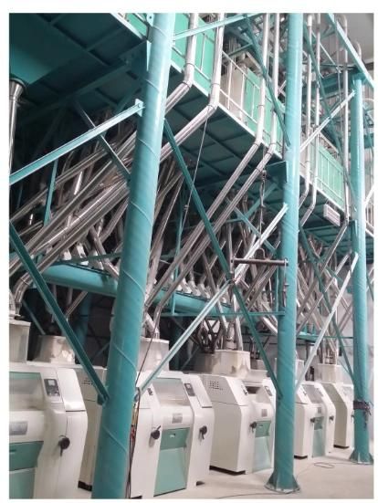 100tpd Wheat Flour Milling Plant Installed in Factory