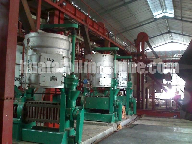 Coconut Copra Oil Extraction Processing Pressing Making Production Line Plant Machine